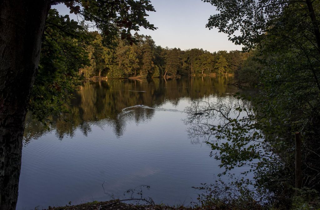 Die angrenzenden Wälder spiegeln sich im klaren Wasser der Seen.