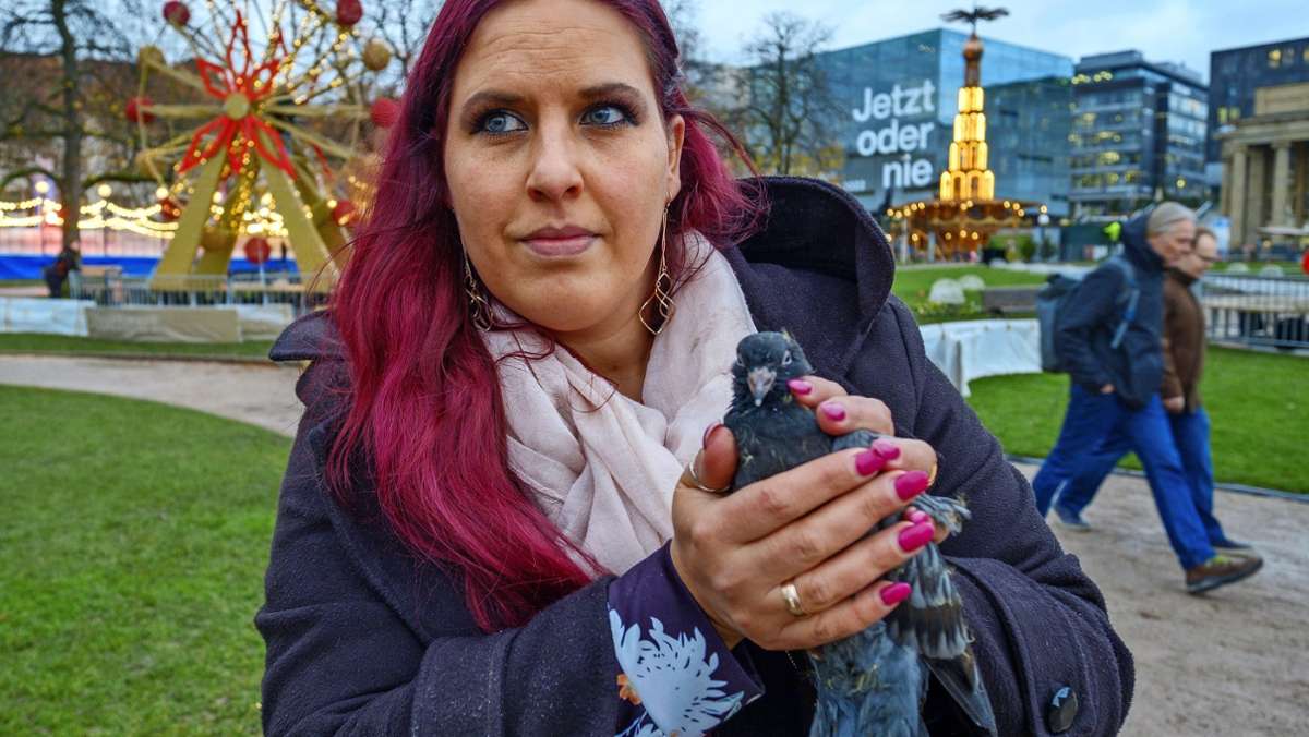 Stuttgarter Taubenschützerin Britta Leins: „Ich kann nicht tatenlos zusehen, wie Tiere leiden“