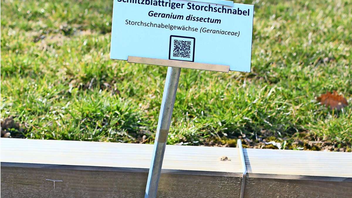 Lehrgarten an der Uni Hohenheim: Das Unkrautbeet ist digital verknüpft