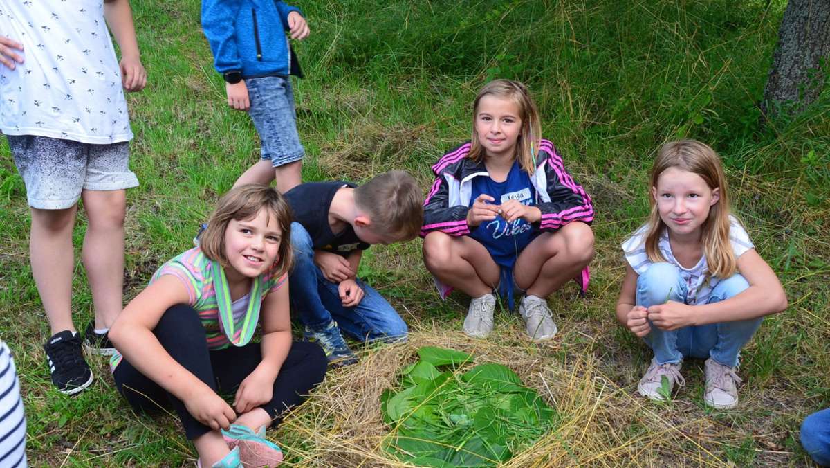 Weil im Schönbuch: Gemeinschaftsschule wird Naturparkschule