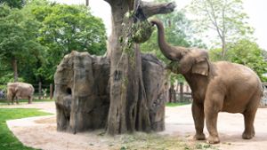 Baden-Württemberg: Karlsruher Zoo wird überraschend zum Millionen-Erbe