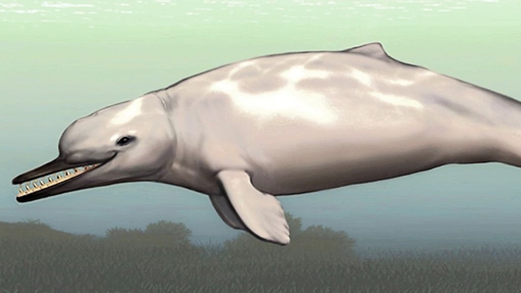 Biologie: Das Echolot der  ersten Delfine