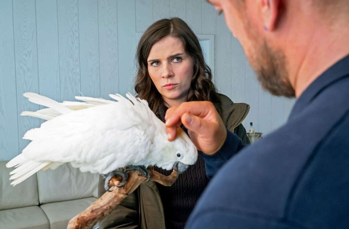 Kira Dorn (Nora Tschirner) befragt den Verdächtigen John Geist (Ronald Zehrfeld) zu seltenen Vögeln.