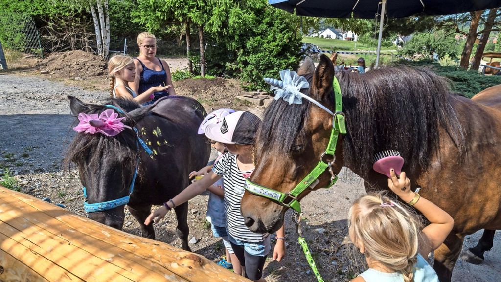 Sommerferienprogramm Weil der Stadt: Die Verwandlung vom Pony  zum magischen Einhorn