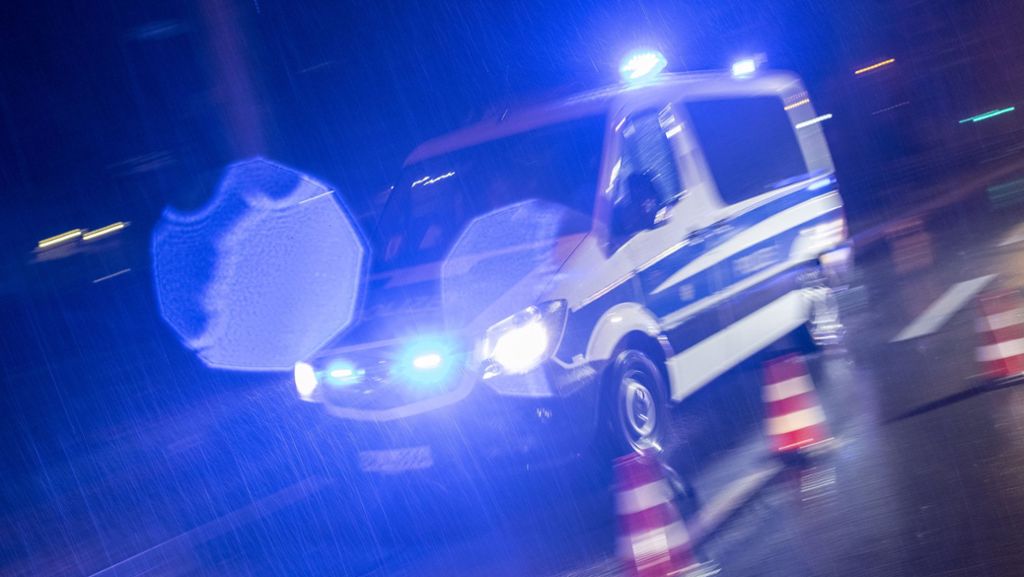 Geislingen: Mann soll seine 80 Jahre alte Mutter mit Messer attackiert haben