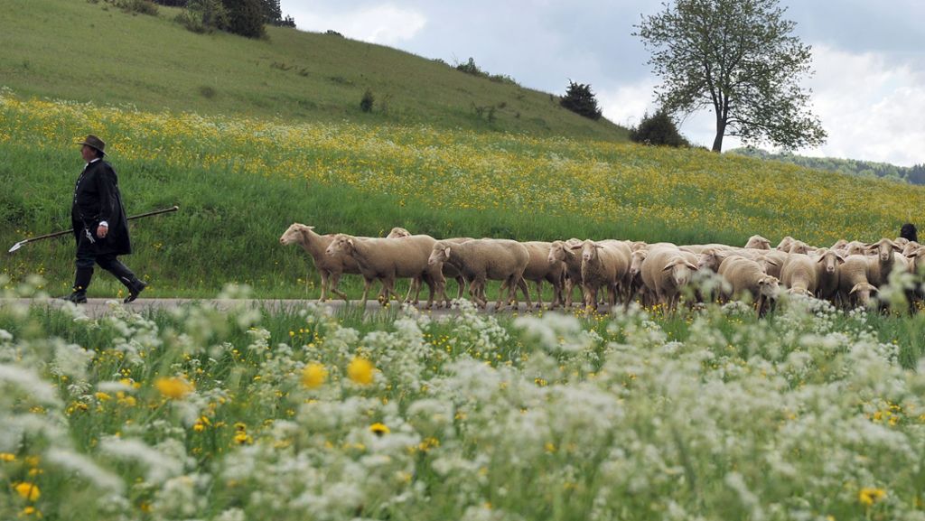 Klimawandel in Baden-Württemberg: „Die Wärme verhindert sehr gute Ernteerträge“