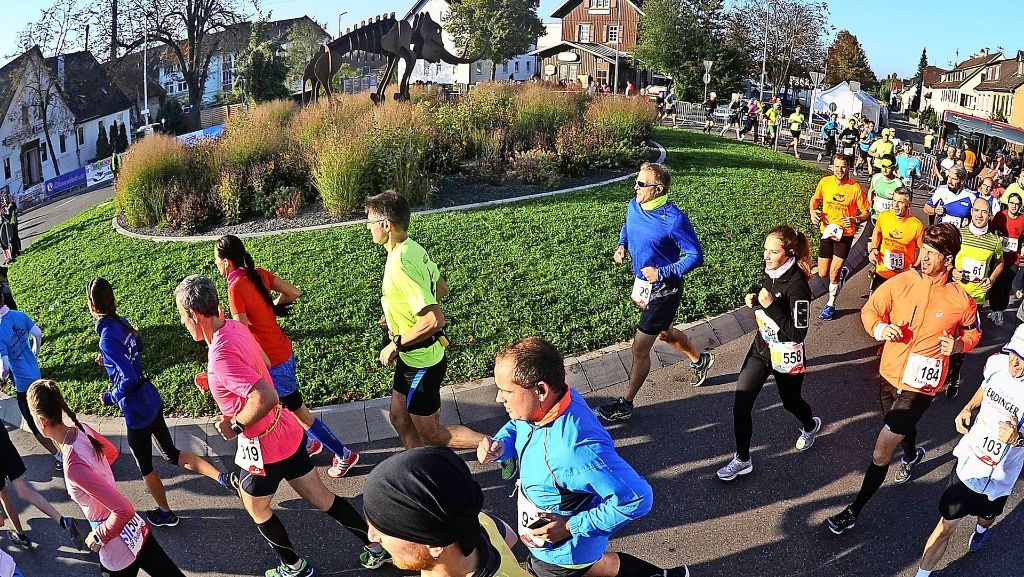 Laufveranstaltung in Steinheim: Beim Bottwartal-Marathon läuft’s richtig rund