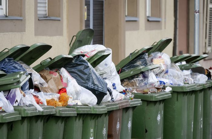Müll in Ludwigsburg: Zeit der grünen Tonnen geht zu Ende