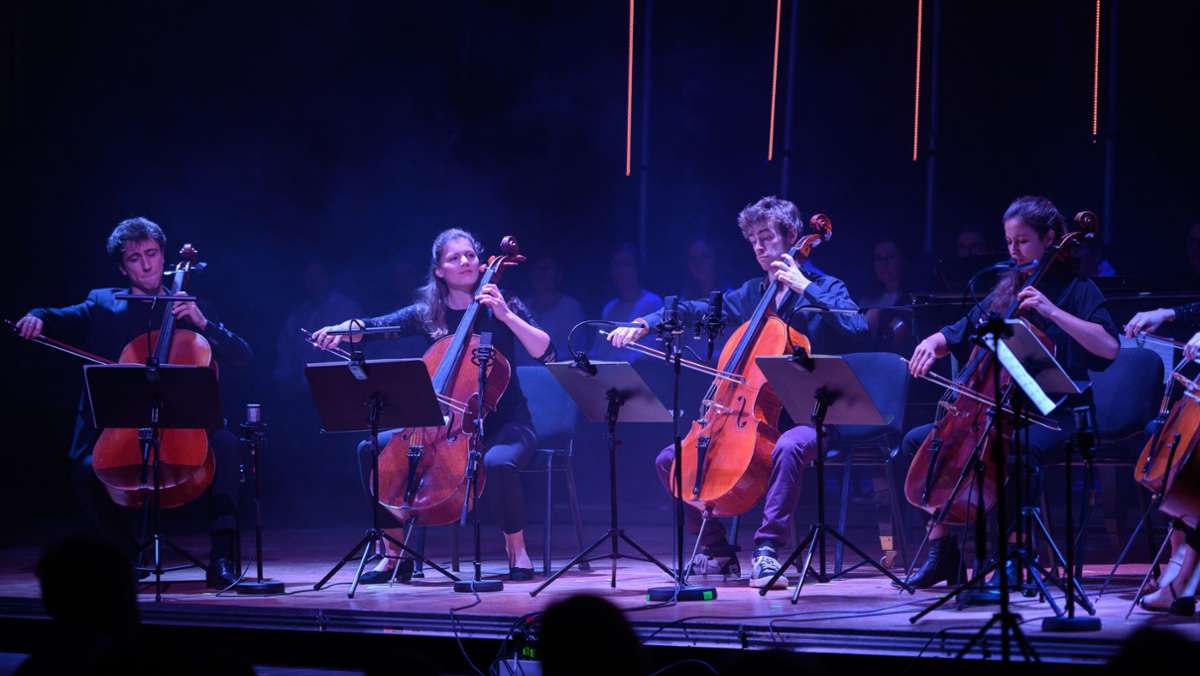 Internationales Festival in Rutesheim: Cello-Akademie verspricht Konzerte auf Top-Niveau