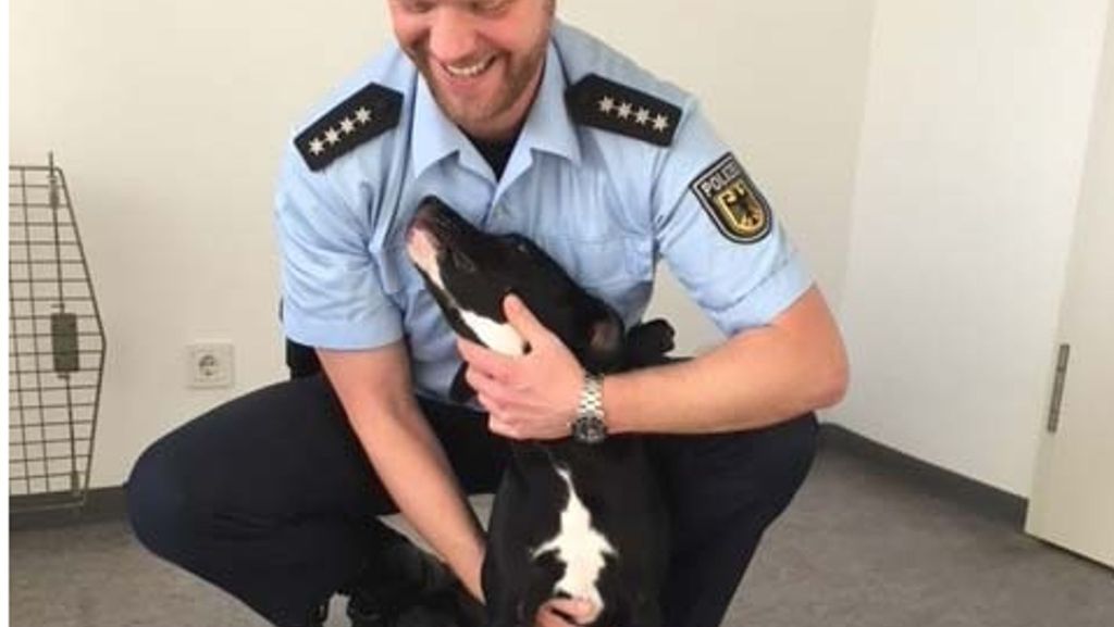 Regionalexpress nach Stuttgart: Hund in Zugtoilette ausgesetzt