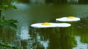 Kunst in Vaihingen: Die Spiegeleier bleiben im See