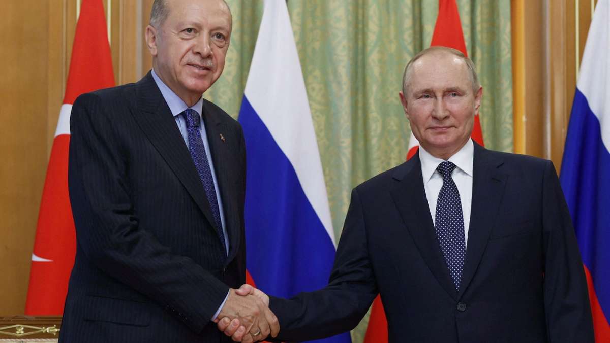 Bei Wirtschaft und Energie: Putin und Erdogan vereinbaren engere Zusammenarbeit