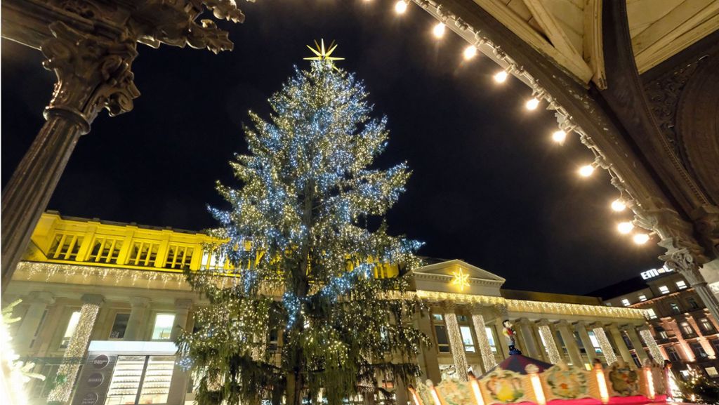 25 Meter hohe Rotfichte: Stuttgarter Weihnachtsbaum verspätet sich