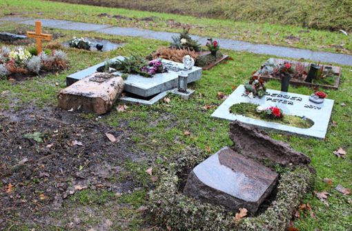 Mindestens drei Gräber  wurden zerstört. Foto: Caroline Holowiecki