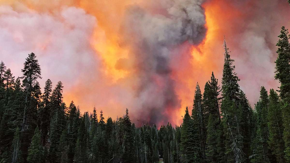  Starke Winde, Trockenheit und Hitze verschärfen die Lage in den kalifornischen Waldbrandgebieten. Noch Schlimmeres soll verhindert werden: Tausenden Haushalten wurde der Strom abgeschaltet, Nationalforste sind für Besucher gesperrt. 