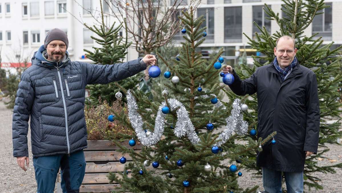 Weihnachtsbäume im Stadtgebiet: Sindelfinger dürfen Tannen schmücken