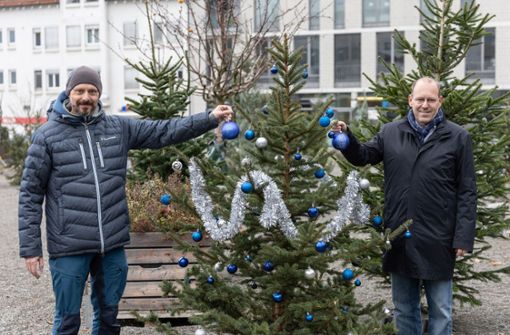 Wintertannen-Aktion: Robert Klotz (links) und OB Bernd Vöhringer schmücken den ersten Baum Foto: Stadt Sindelfingen