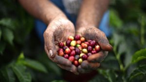 Heimsheim wird zum vierten Mal Fairtrade-Town