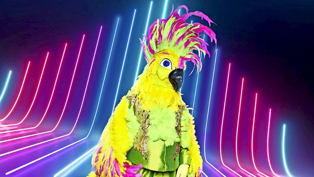 Neue TV-Show „The Masked Singer“: Welcher Popstar versteckt sich in diesem Vogel?