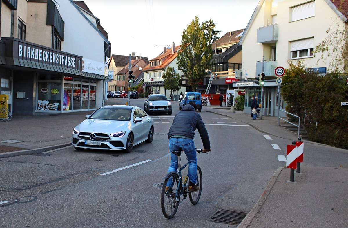 Auf der Birkheckenstraße zwischen der Alten Dorf- und der Törlesäckerstraße kann es zuweilen zwischen Autofahrern und Radlern etwas eng zugehen. Foto: Caroline Holowiecki