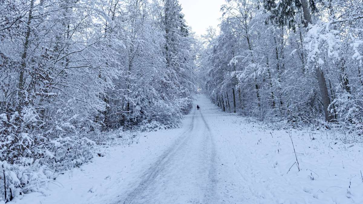 Wetter in Stuttgart: Dauerfrost im Südwesten – Der Winter ist wieder da