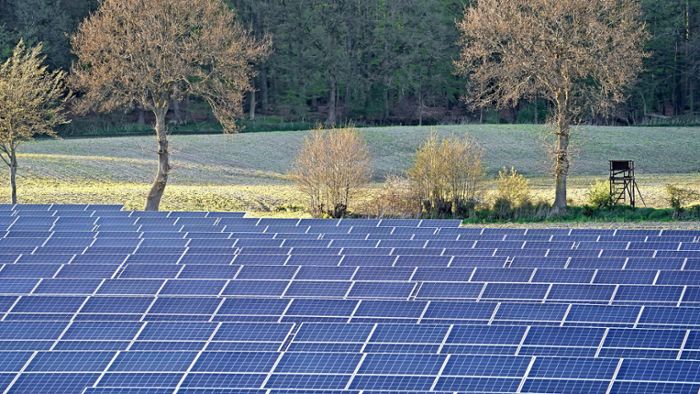Solarfeld in Markgröningen: Premiere für Freiflächen-PV-Anlage