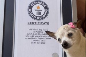 Hündin Pebbles hielt Guinness-Weltrekord