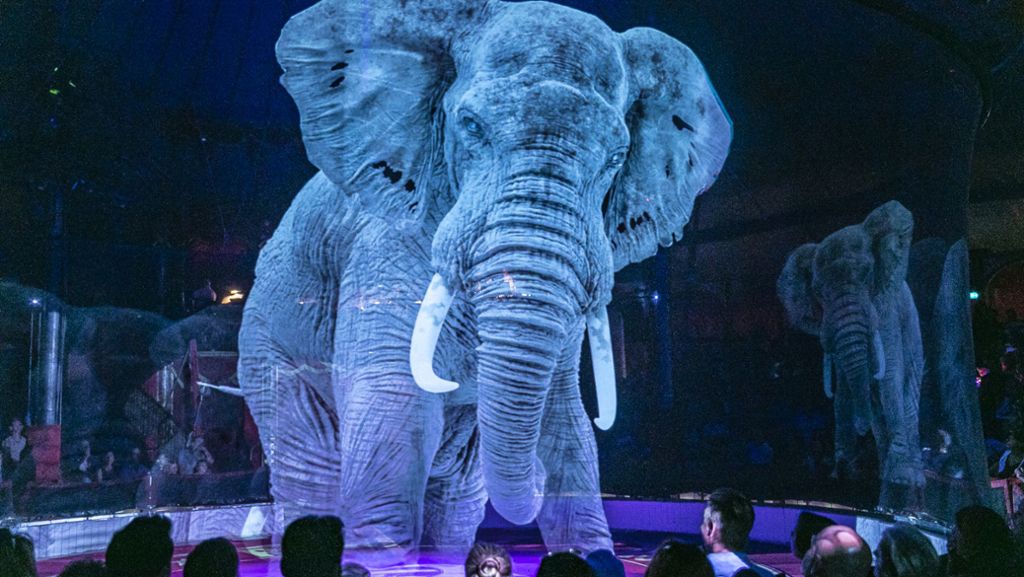 Hologramme im Circus Roncalli: Applaus für die neue Tierdarbietung