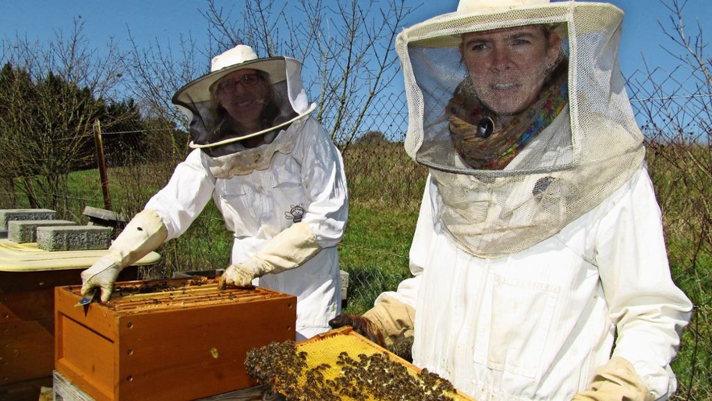 Imker in Waldenbuch: Den Bienen geht die Puste aus