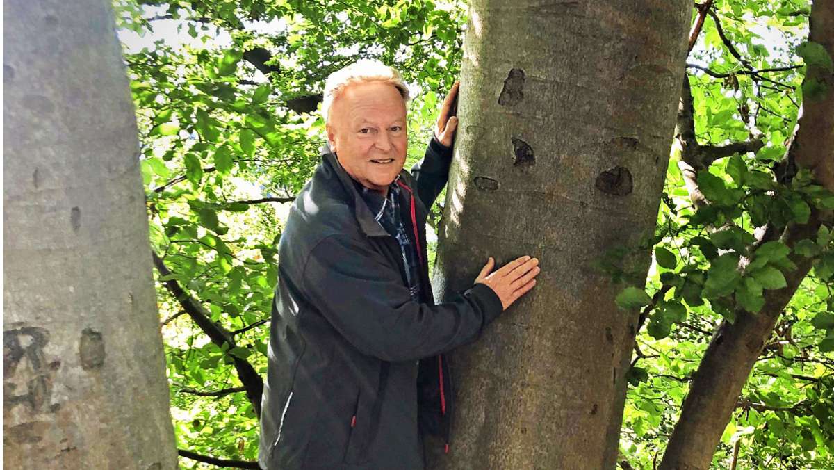 Waldbaden in Baden-Württemberg: Waldtherapeut Siegfried Hain erklärt den Boom