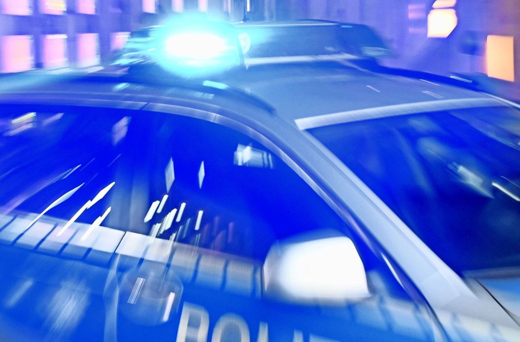 Ein Dieb verletzt bei seiner Festnahme in Esslingen eine 21-jährige Polizistin. Foto: dpa