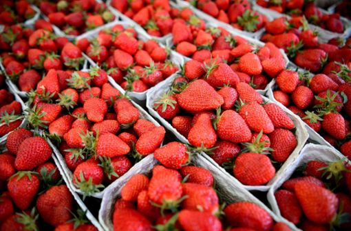 Erdbeeren – fünf Fakten über die rote Vitaminbombe
