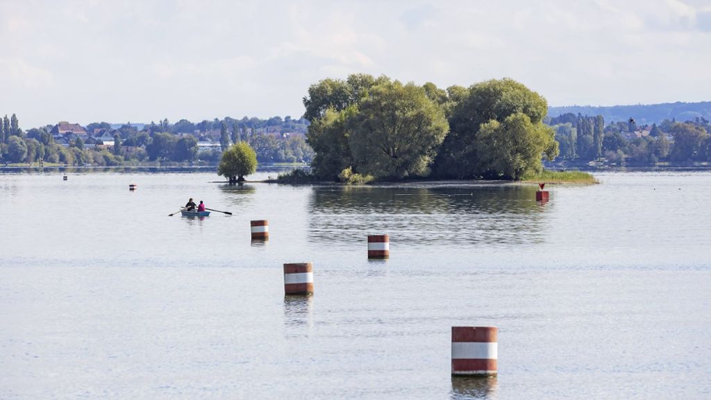 Vorfall am Bodensee: Ruderboot-Fahrer betrinkt sich und kommt mit Sohn nicht mehr an Land