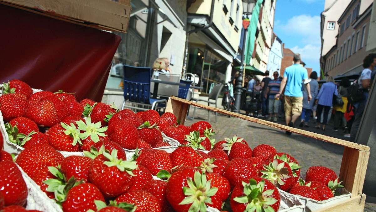 So war das Erdbeerfest in Esslingen