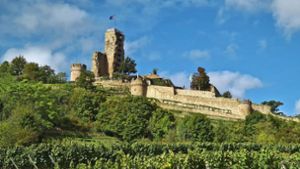 Deidesheim und Wachenheim – Pfälzer Weinlandschaften mit Fernblick