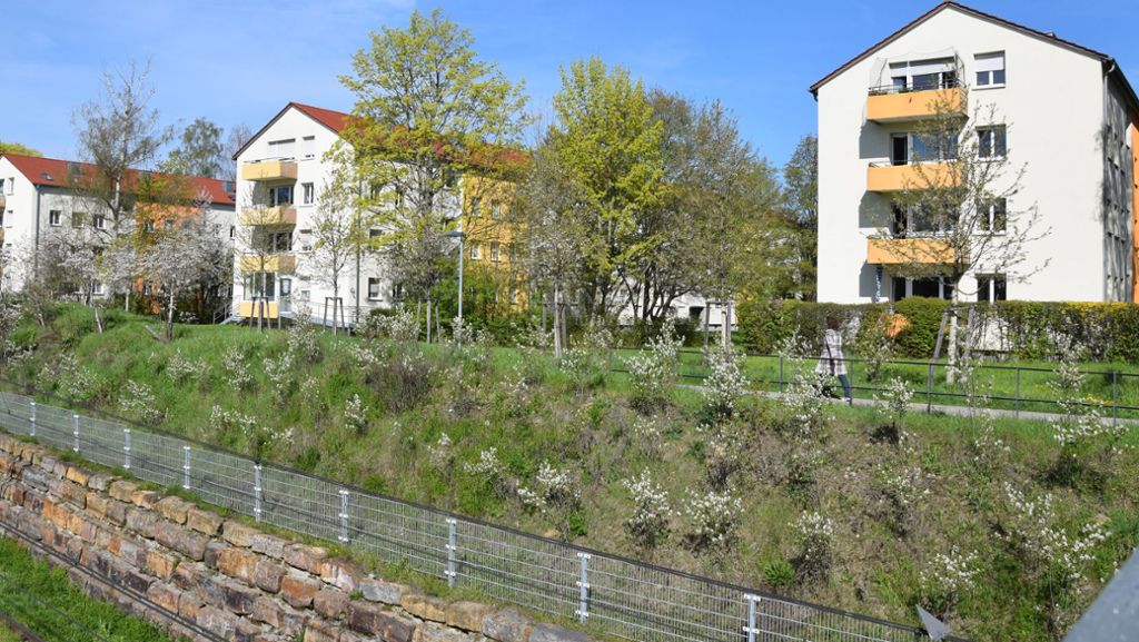 Wohnungsnot in Stuttgart-Möhringen: Kaltluftschneisen erzwingen engere Quartiere