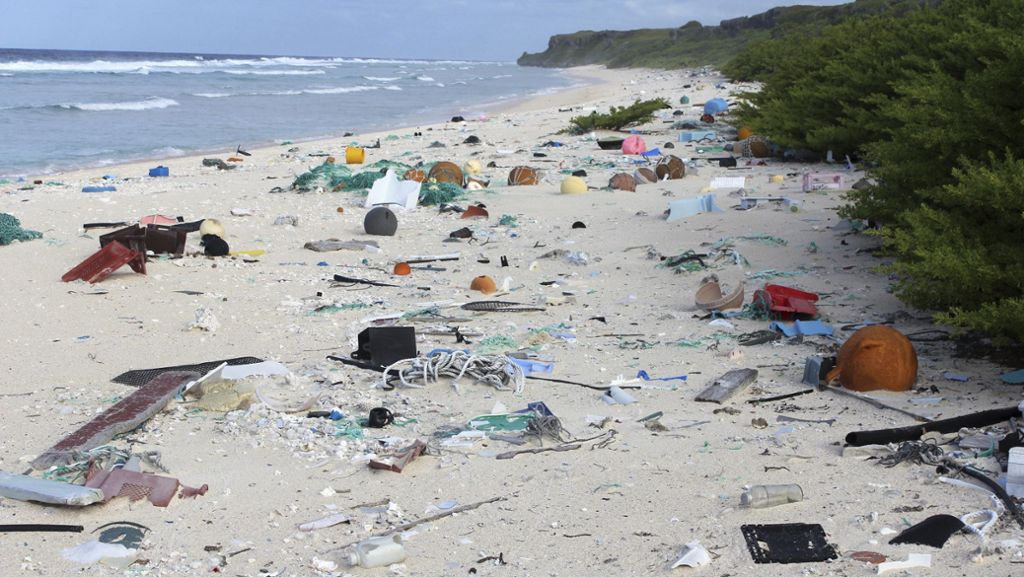 Müll im Ozean: Angespülte Babyschildkröte hat 104 Plastikteilchen im Körper