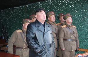 Schutzkleidung aus Pjöngjang?
