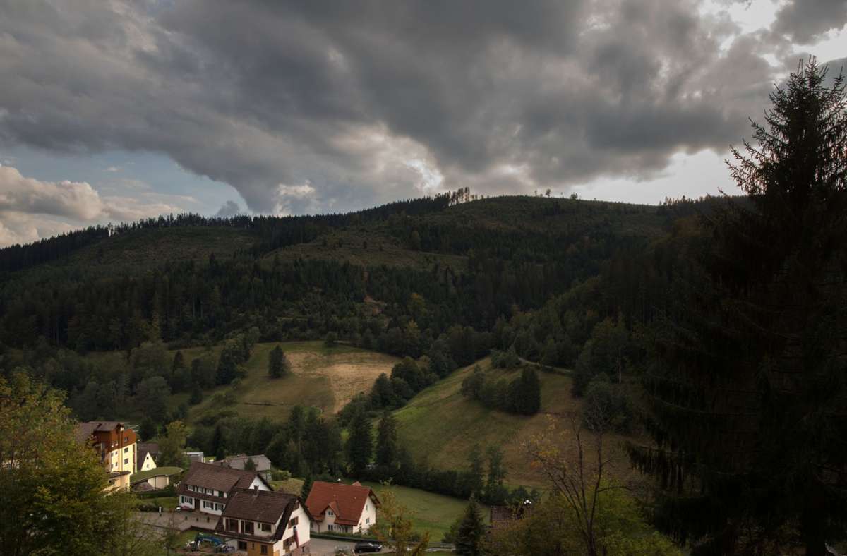 Schwarzwald-Idylle: Baiersbronn von oben