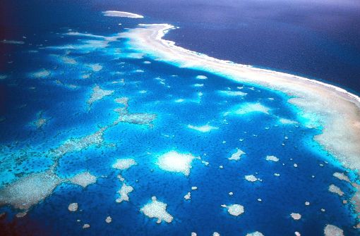 Klimawandel bedroht das Great Barrier Reef
