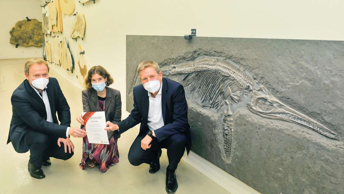  Die SV Sparkassen Versicherung übergibt dem Stuttgarter Naturkundemuseum ein fossiles Fischsaurierskelett. Was an diesem so interessant ist, berichtet eine Expertin. 