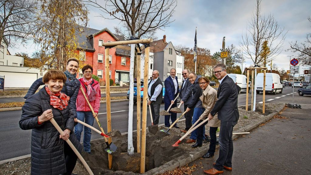 Wo Ludwigsburg ist, ist vorne: Mit der  Moosdusche  gegen den Klimawandel