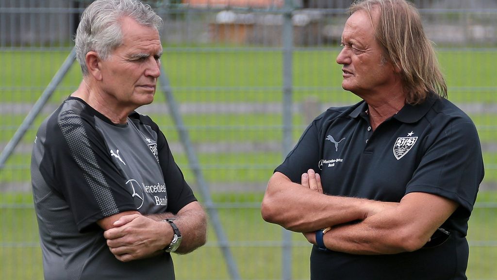  Fast vier Jahre lang ist Martin Schäfer als Aufsichtsrat beim VfB Stuttgart im Amt. Am Sonntag ist Schluss. Zum Abschied spricht der Würth-Manager über eine intensive Zeit – und manch eine Überraschung. 