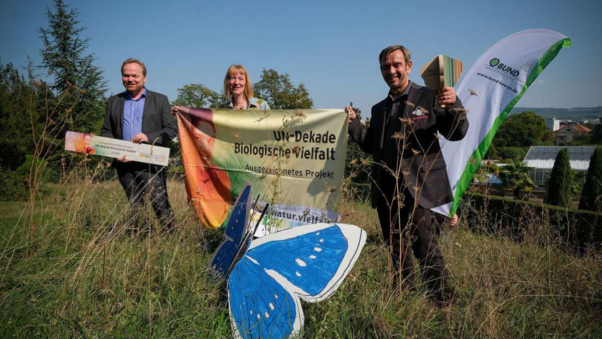 Aktiver Schmetterlingsschutz: UN-Auszeichnung für Stuttgarter Wildwiesenprojekt