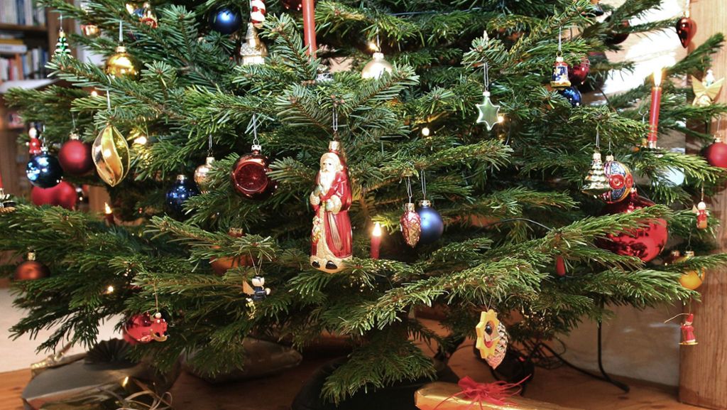 Kindergarten in Plochingen: Ersatz für gestohlenen Weihnachtsbaum