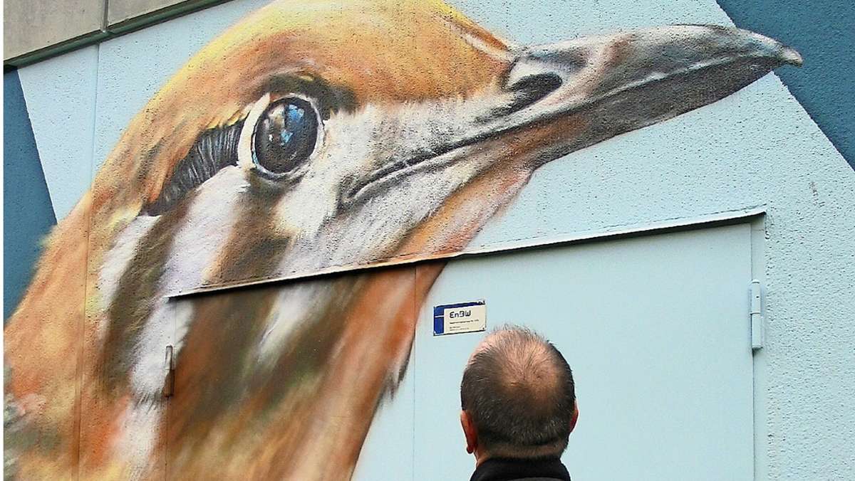 Graffiti in Stuttgart: Künstlerische Seilschaften und  Vögel