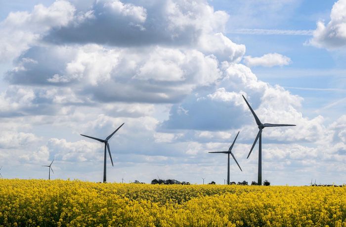 Neue Pläne: Windkraft schlägt Artenschutz