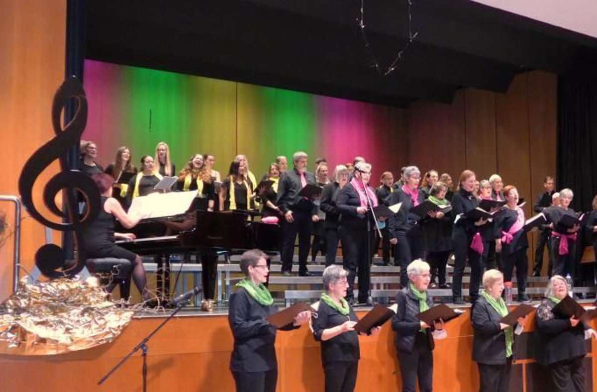 Der Liederkranz beim Auftritt in der Stadthalle in Holzgerlingen. Foto: Roy Lutze