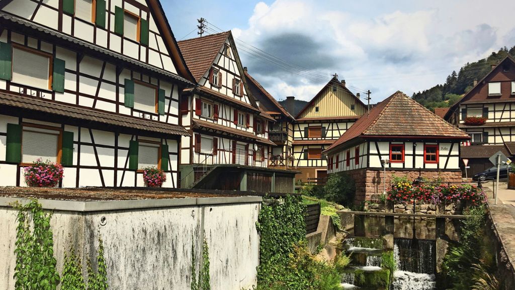 Dörfersterben im Schwarzwald: Ein Businessplan für das Zentrum