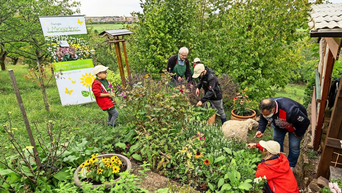 „Europa-Minigärtner“: Kleine Gärtner sind in Leonberg ganz groß